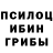 Псилоцибиновые грибы ЛСД David Redding