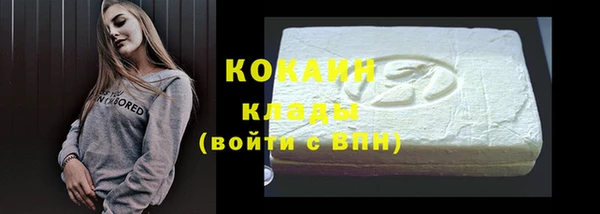 соль ск Ельня