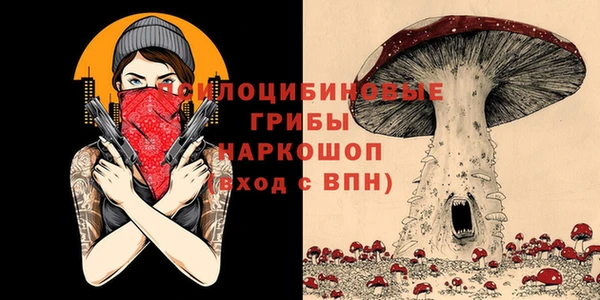 кристаллы Дмитров