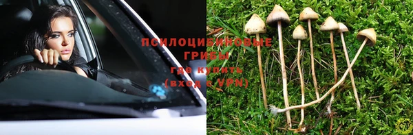 соль ск Ельня
