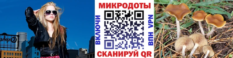 Купить где  Кубинка  Галлюциногенные грибы Psilocybe 